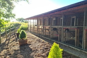 View of cattery from outside